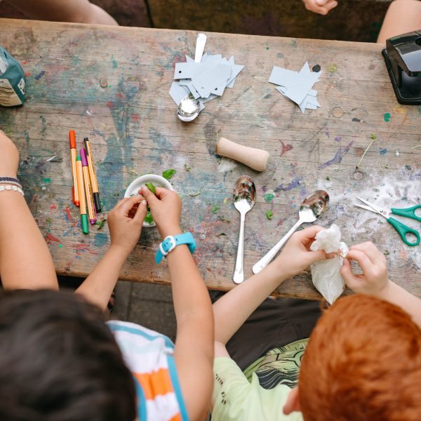 BreddegartenAktionswoche2024©danaschmidt-47