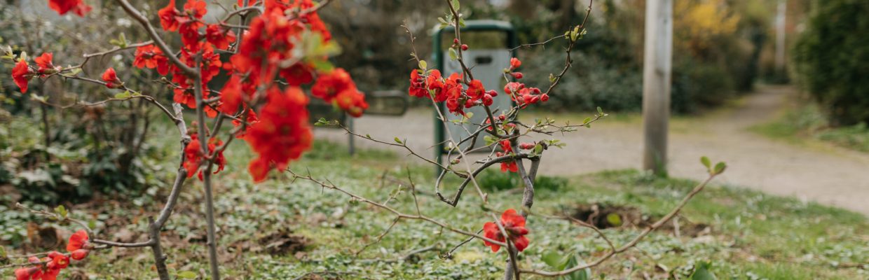 BreddegartenBesichtigung02_300ppi_danaschmidt-25